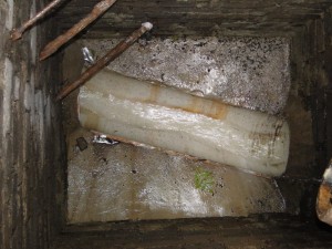 Long reinstatement lining after reinstatement [jpg]